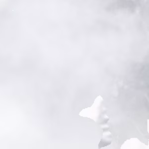 Scopello / Alpe di Mera - 2019-12-23