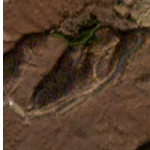 Lanzo d'Intelvi - 2016-12-28