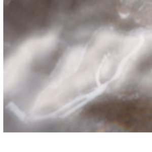 Lanzo d'Intelvi - 2017-01-27