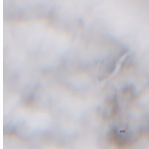 Lanzo d'Intelvi - 2018-01-12