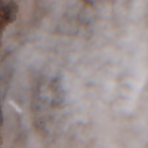 Lanzo d'Intelvi - 2019-03-13