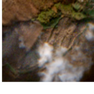 Lanzo d'Intelvi - 2022-11-17