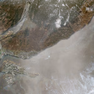 Pradasc - 2018-11-28