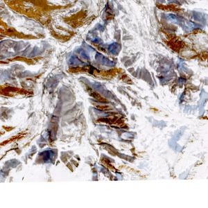 Riserva Bianca - 2019-02-21