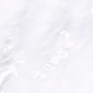 Riserva Bianca - 2024-03-04