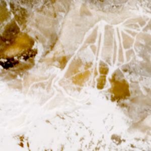 Garessio 2000 - 2021-02-23