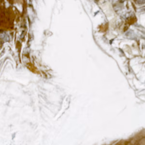 Rucaski - 2025-03-31