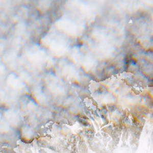 Pian del Frais - 2016-12-11