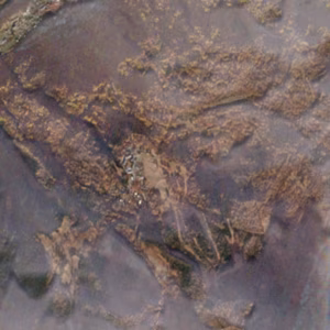 Pian del Frais - 2020-11-25