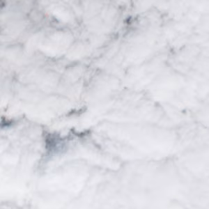 Domobianca - 2018-11-16