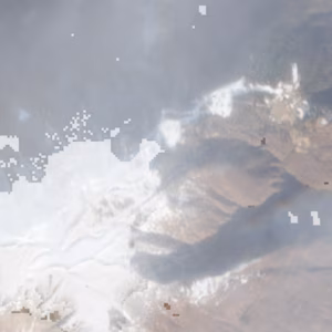 Domobianca - 2019-12-28