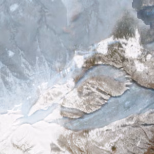 Domobianca - 2020-12-17