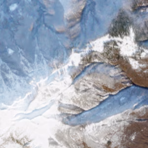 Domobianca - 2021-01-31