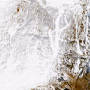 Alpe Devero - 2025-03-19