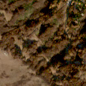 Caldirola - 2016-12-08