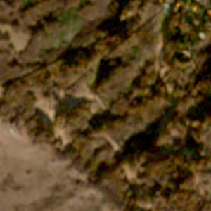 Caldirola - 2018-12-08