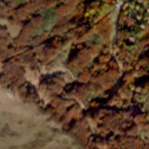 Caldirola - 2023-11-17