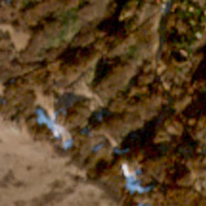 Caldirola - 2023-12-22