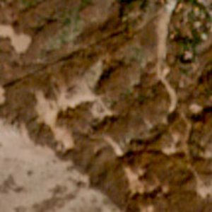 Caldirola - 2024-02-20