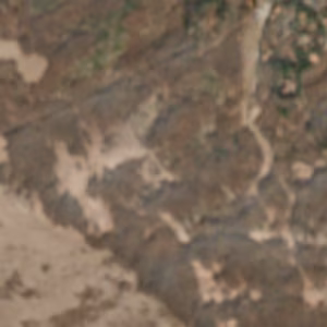 Caldirola - 2025-03-06