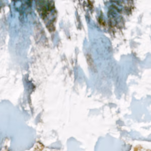 Pescegallo - 2019-02-16