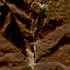 Saint Grée di Viola - 2023-11-25