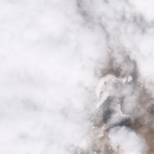 Sangiacomo Cardini - 2021-03-07