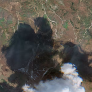 Sangiacomo Cardini - 2023-04-19