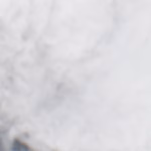 Cheggio - 2018-11-16