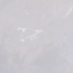 Cheggio - 2019-03-16