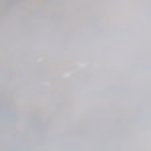 Cheggio - 2022-03-27