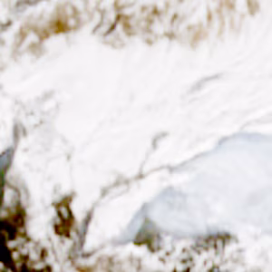 Cheggio - 2024-02-13