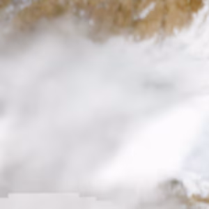 Cheggio - 2025-02-17