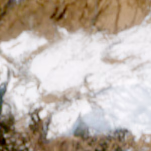 Cheggio - 2025-03-04