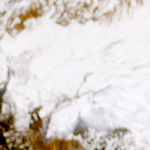 Cheggio - 2025-03-19